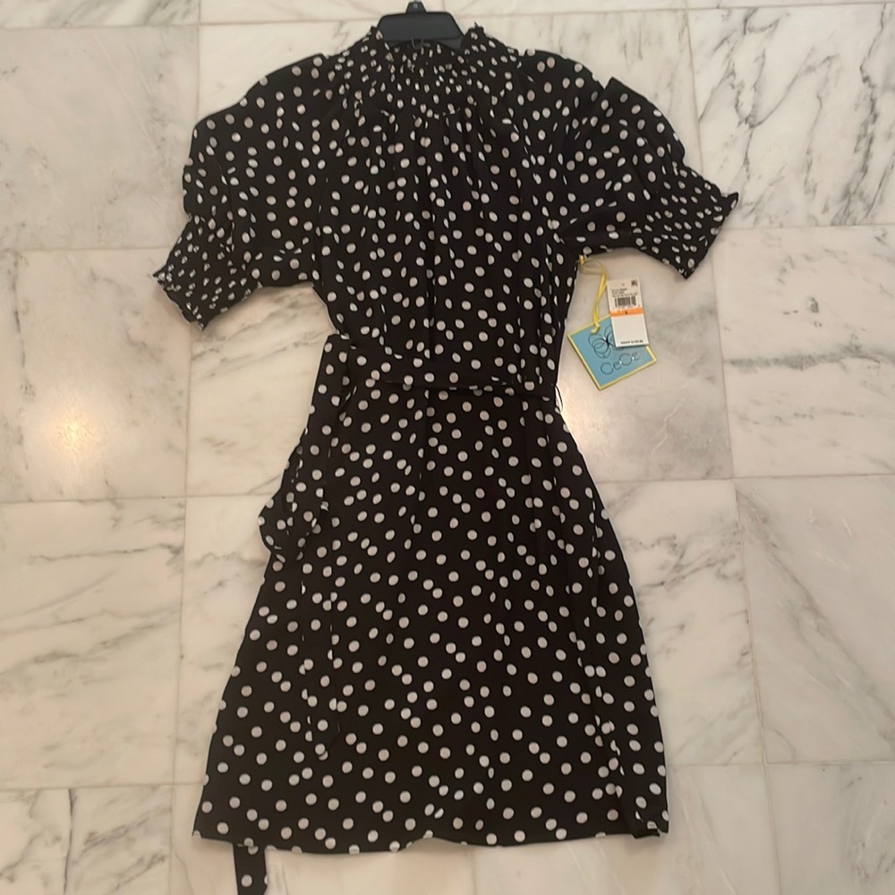 Cece polka dot dress